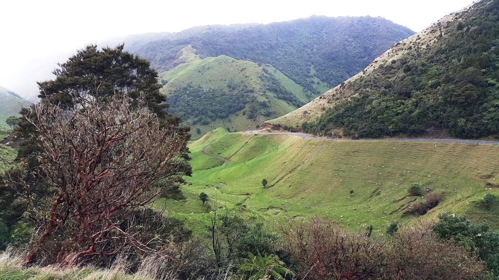Bella Vista Gisborne